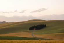 New Zealand off-peak flights