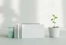 Best No Annual Fee Credit Cards in Italy: Options, Costs and Key Benefits