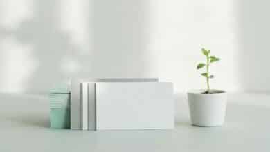Best No Annual Fee Credit Cards in Italy: Options, Costs and Key Benefits